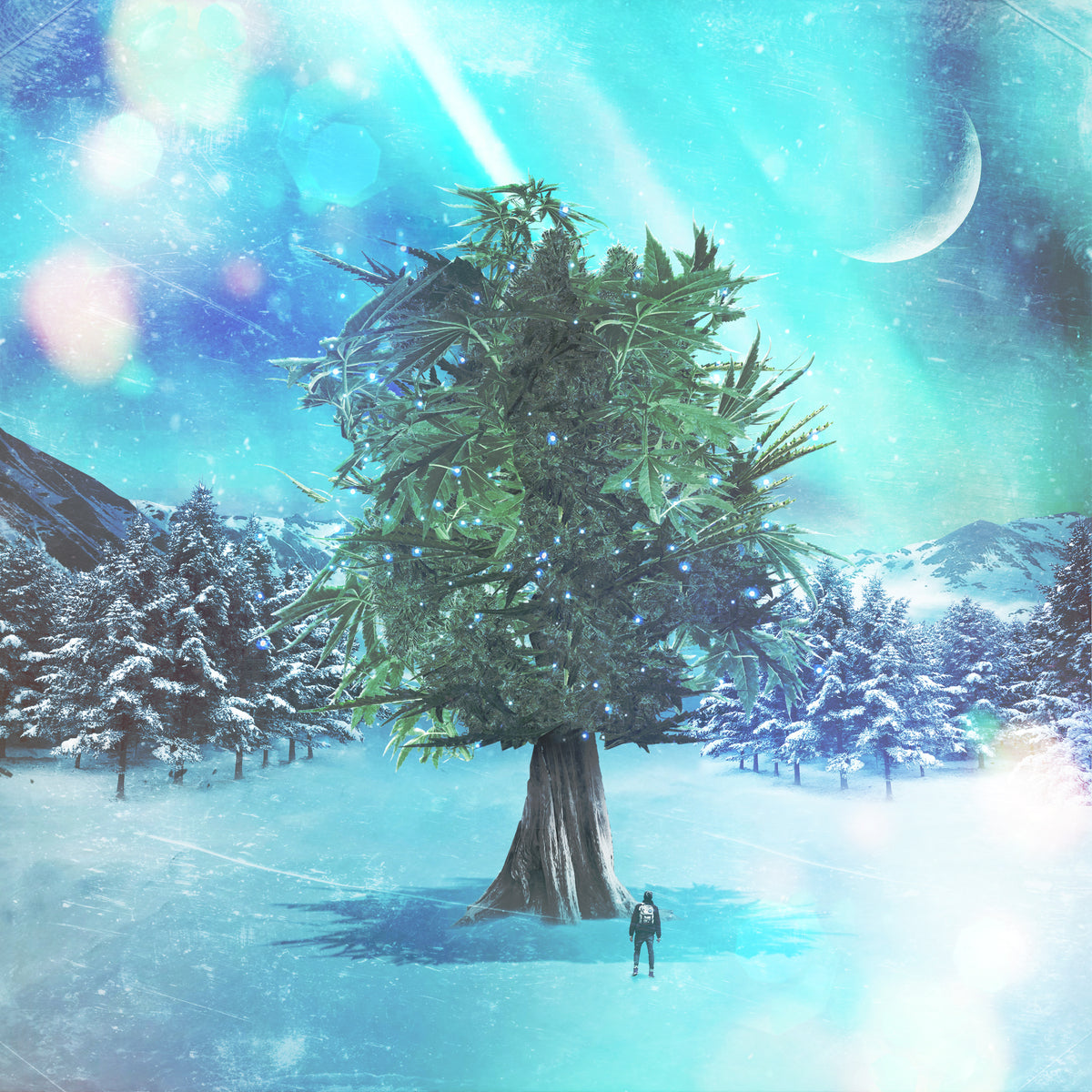Winter Daze CD Hard Copy